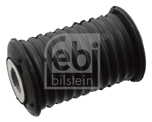 Bushing, leaf spring
